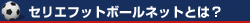 �Z���G�E�t�b�g�{�[���l�b�g�Ƃ́H