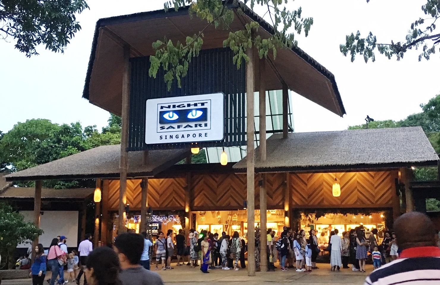シンガポール5